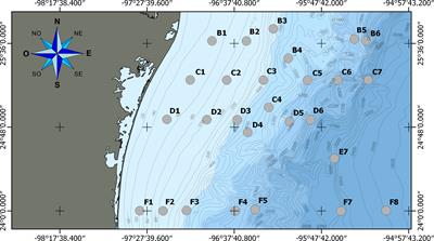 Spatiotemporal dynamics of benthic bacterial communities in the Perdido Fold Belt, Northwestern Gulf of Mexico